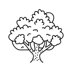 juniper tree icon, juniper tree line art - simple line art of juniper tree, perfect for juniper tree logos and icons