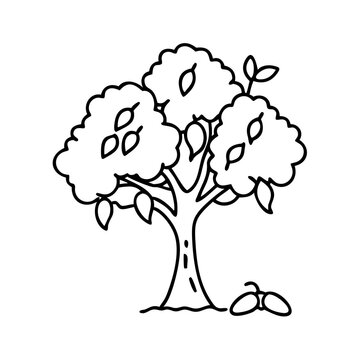 recommend clip art: mango tree icon, mango tree line art - simple line art of mango tree, perfect for mango tree logos and icons