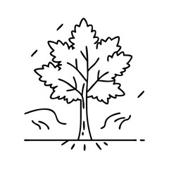 maple tree icon, maple tree line art - simple line art of maple tree, perfect for maple tree logos and icons