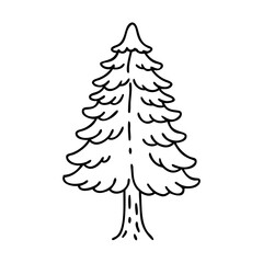 sequoia tree icon, sequoia tree line art - simple line art of sequoia tree, perfect for sequoia tree logos and icons