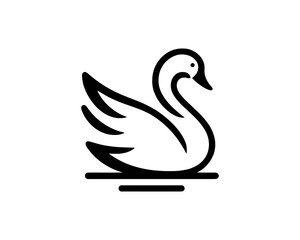 black swan with wings
