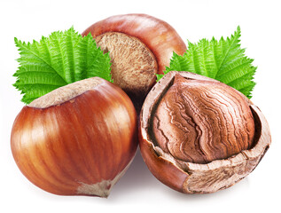 Hazelnuts or filberts, split of hazelnut kernel and green leaves on white background.