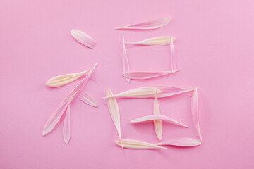 Delicate pink gerbera flower petals arranged as happiness chinese symbol hieroglyph on a pink...
