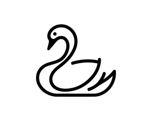 black swan vector