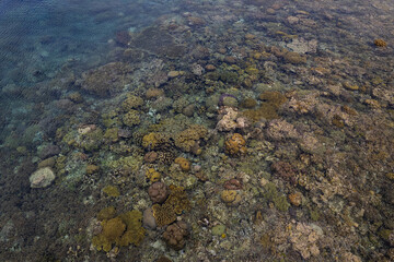 Colorful reef and exposed corals at the coast of a tropical sea during low tide