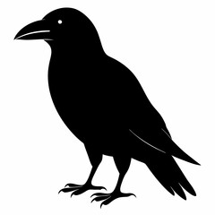Sleek Black Crow Silhouette
