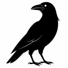 Sleek Black Crow Silhouette