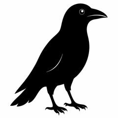 Sleek Black Crow Silhouette