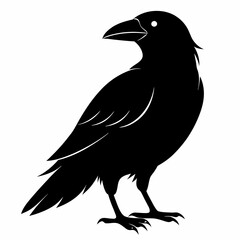 Sleek Black Crow Silhouette