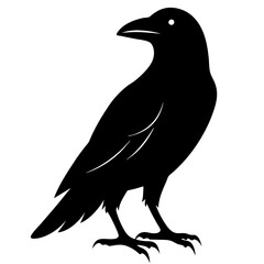 Sleek Black Crow Silhouette
