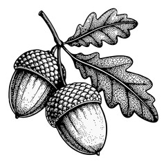acorn and oak leaf