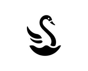 Obraz premium vector black swan