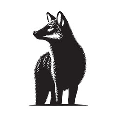 Dhole Silhouette - Minimalist Dhole Vector - Illustration of Dhole - Dhole Animal Design.