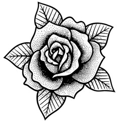 vector drawing of a rose