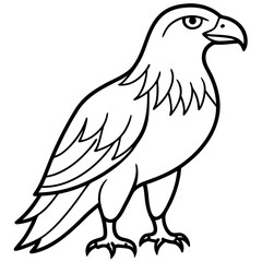 Sleek Eagle Outline Vector Design