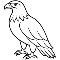 Sleek Eagle Outline Vector Design
