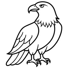 Sleek Eagle Outline Vector Design