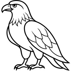 Fototapeta premium Sleek Eagle Outline Vector Design