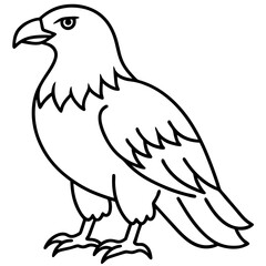 Sleek Eagle Outline Vector Design