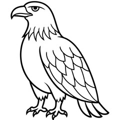 Sleek Eagle Outline Vector Design
