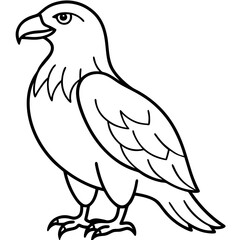 Sleek Eagle Outline Vector Design