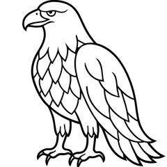 Sleek Eagle Outline Vector Design