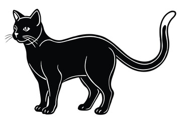 Black cat silhouette and vector illustration.