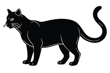 Black cat silhouette and vector illustration.