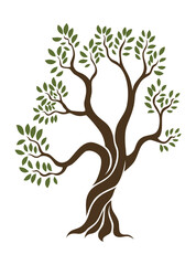 Olive trees with branches and leaves for design of packaging, label, logotype or banner. Natural organic stylized olive icon, premium quality sign. Vector illustration