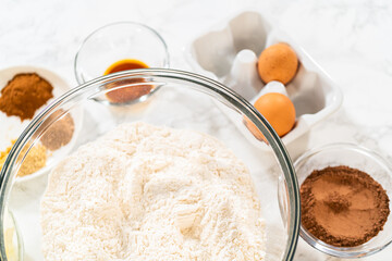 Pale Gingerbread Cookies with Subtle Spice Flavor