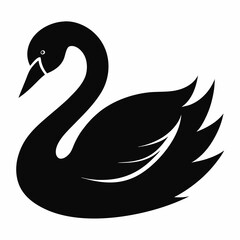 Obraz premium Stylish Black Swan Graphic Vector