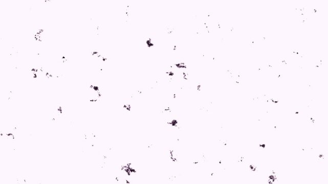Animation of dust, dirt, and other debris 1