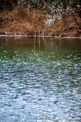 river in the forest