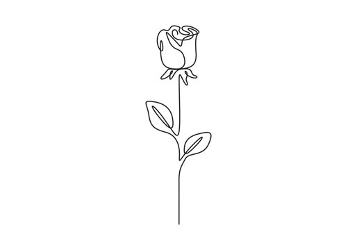 Rose single line drawing. Abstract flower one line art. Minimalist contour drawing of rose. Continuous line drawing of flower rose . Hand drawn of flower vector illustration