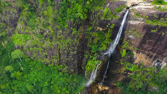 Waterfall in the jungle. Diyaluma Falls in the rainforest. Sri Lanka.