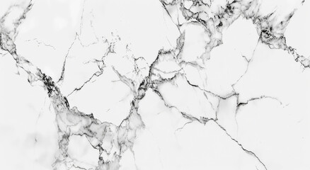 Obraz premium Stunning high resolution image of elegant white marble with intricate grey veining showcasing natural texture and sophisticated design elements perfect for