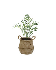 Miniature Palm in Woven Pot: Rustic Farmhouse Decor
