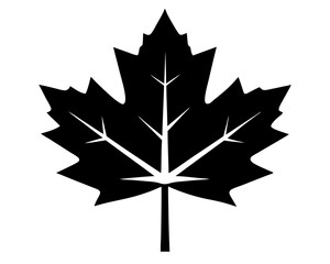 Canadian Maple Leaf Silhouette Vector & National Symbol SVG
