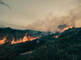 Fototapeta premium Incendio