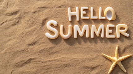 Seashells and starfish create a warm hello summer on sandy beach at golden hour