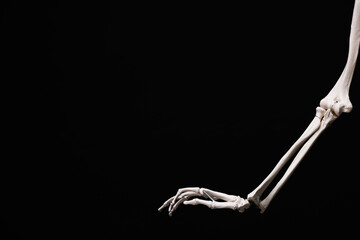 Artificial human skeleton model on black background, closeup. Space for text