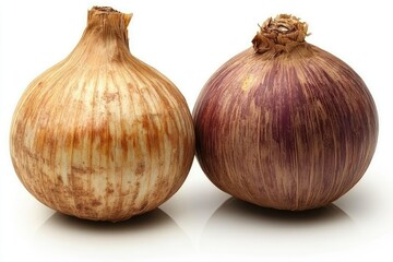 Fototapeta premium Two onions, one light brown, one with purple stripes, isolated on white background