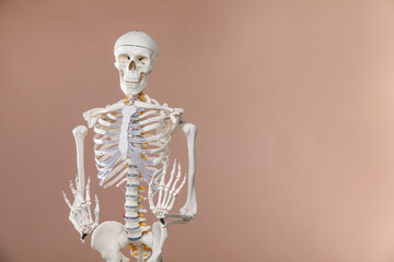 Artificial human skeleton model on light brown background, space for text