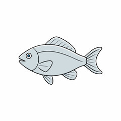 fish vector illustration