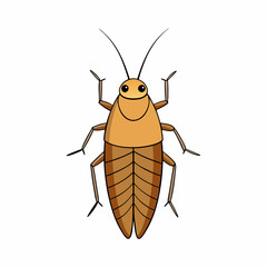 cockroach isolated on white background