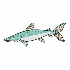 fish isolated on white