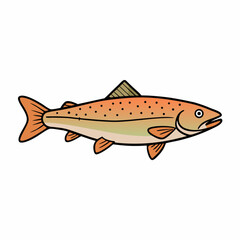 fish on a white background