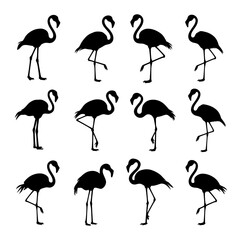Flamingo Silhouette Vector Bundle Black and White Flamingo Clipart EPS Illustration