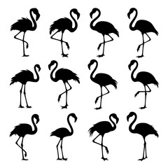 Obraz premium Flamingo Silhouette Vector Bundle Black and White Flamingo Clipart EPS Illustration