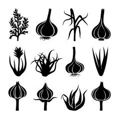 Garlic Silhouette Vector Bundle Black and White Garlic Clipart EPS Illustration